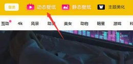 元气壁纸无法设置动态壁纸 元气壁纸设置不了动态壁纸解决教程