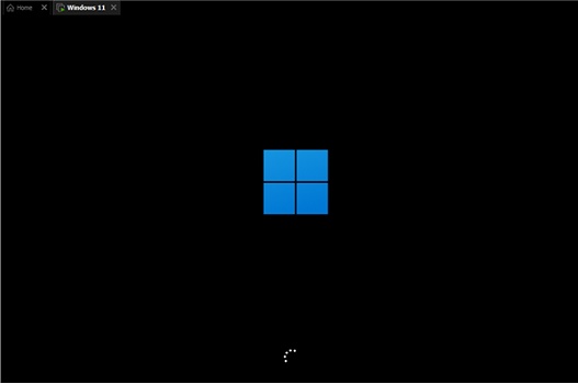 下载的win11是win10解决教程