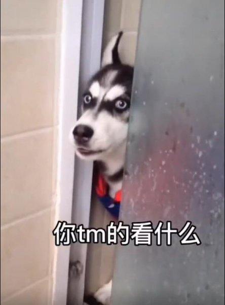 微信状态背景设置方法