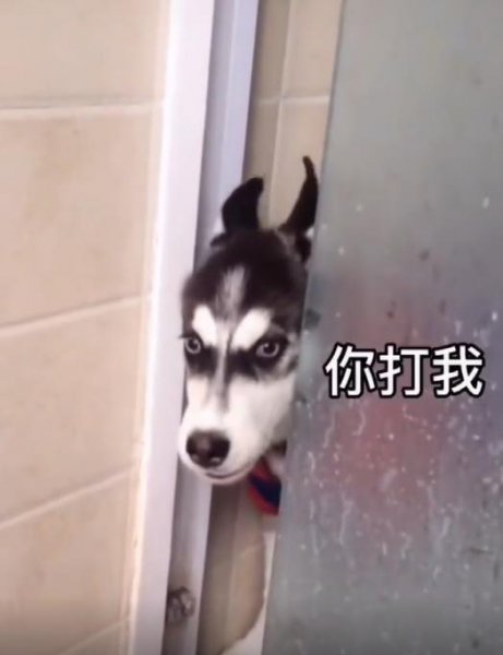 微信状态背景设置方法