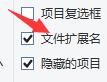 win11显示文件属性后缀的教程