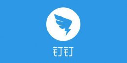 钉钉掉线了怎么办 钉钉崩了的解决教程