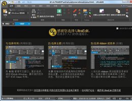 ultraedit电脑版下载 ultraedit下载版本推荐