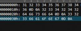 ultraedit内码是几进制 ultraedit软件观察字符内码