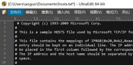 ultraedit设置背景颜色 ultraedit文件选项卡显示方法