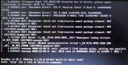 deepin安装initramfs deepin启动卡在initramfs解决教程