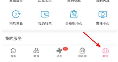 哔哩哔哩清理缓存ios详细方法