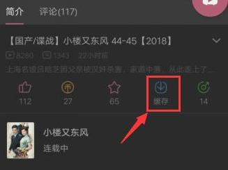 哔哩哔哩视频下载本地教程