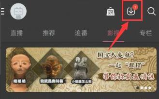 哔哩哔哩视频下载本地教程