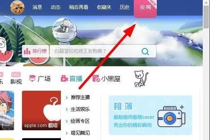 哔哩哔哩使用常见问题方法大全