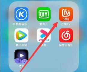 芒果tv下载的视频保存在本地方法