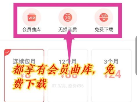 网易云音乐vip和黑胶vip区别详细介绍