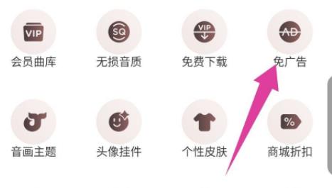 网易云音乐vip和黑胶vip区别详细介绍