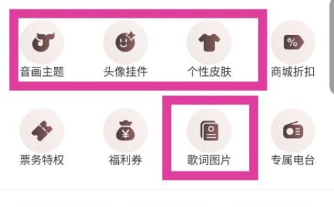 网易云音乐vip和黑胶vip区别详细介绍