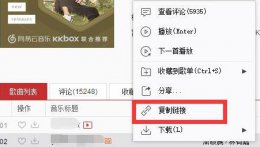 网易云音乐下载mp3格式方法 手机网易云音乐如何下载mp3格式