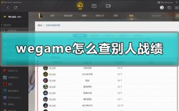 wegame怎么查别人战绩 掌上wegame怎么看别人英雄联盟战绩