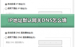 默认网关和dns地址怎么填 IP地址默认网关DNS怎么填