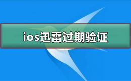 ios迅雷过期怎么验证 苹果手机迅雷beta已过期