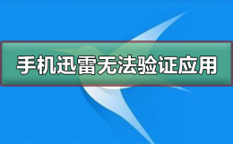 迅雷无法验证完整性 手机迅雷无法验证应用怎么办