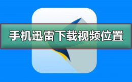 手机迅雷下载的视频在哪个文件夹 小米手机迅雷下载的视频在哪个文件夹