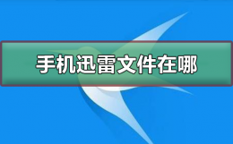 手机迅雷下载的文件在哪 手机迅雷下载的文件在哪里