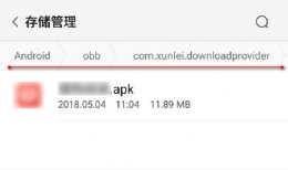 迅雷下载的文件在哪个文件夹 迅雷下载的文件在哪个文件夹里面