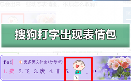 搜狗输入法怎么设置打字出现表情包 搜狗输入法怎么设置打字的时候显示表情