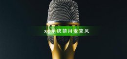 xp系统如何禁用麦克风 xp系统麦克风没声音怎么设置