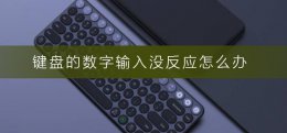 键盘的数字输入没反应怎么办 电脑键盘数字键没反应怎么办