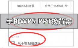 手机wpsppt怎么设置背景 手机wpsppt背景图片怎么更换