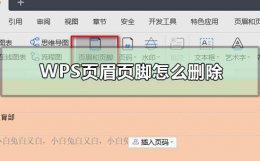 wps页眉页脚怎么删除 wps页眉页脚怎么删除一部分