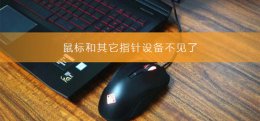 鼠标和其它指针设备不见了 鼠标和其他指针设备里没有触控板设备