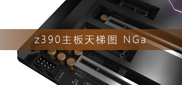 z390主板天梯图NGa