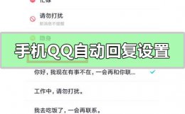 手机qq自动回复怎么设置 手机qq自动回复怎么设置 小说