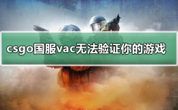 csgo游戏中vac验证错误 csgo国服vac无法验证你的游戏