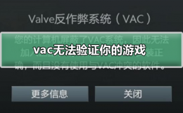 vac无法验证你的游戏 vac无法验证你的游戏阶段