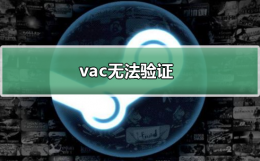 vac无法验证 csgovac无法验证