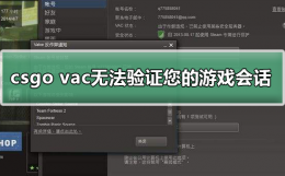 csgo vac无法验证您的游戏会话 csgovac无法验证您的游戏会话怎么解决