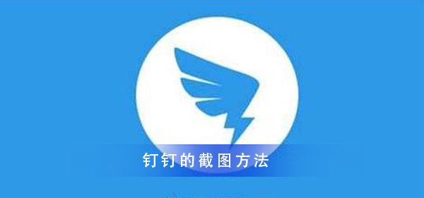 钉钉截图的教程一分钟掌握