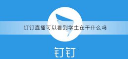 钉钉上课直播能看到学生吗 钉钉直播可以看到学生在干什么吗