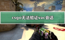 csgo无法验证vac会话 csgo无法验证vac会话win7