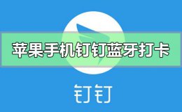 钉钉打卡蓝牙怎么连接 苹果手机钉钉怎么蓝牙打卡