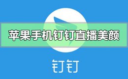 钉钉直播如何美颜 苹果手机钉钉直播怎么美颜
