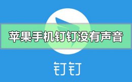 苹果手机钉钉没有声音怎么设置 手机钉钉为什么没有声音怎么设置