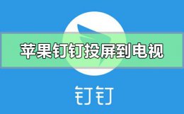 钉钉如何在电视上投屏 苹果手机钉钉怎么投屏到电视