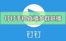 钉钉手机直播可以多群联播吗 手机上钉钉直播可以多群联播吗