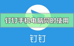 钉钉手机和电脑可以同时使用吗 钉钉可以在手机和电脑同时使用吗