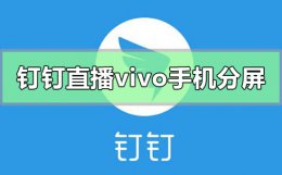 Vivo怎么分屏? 钉钉直播vivo手机怎么分屏