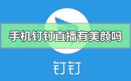 手机钉钉直播有美颜吗 钉钉直播的美颜功能在哪里