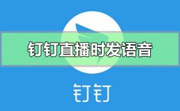钉钉直播的时候怎么发语音 电脑版钉钉直播怎么发语音